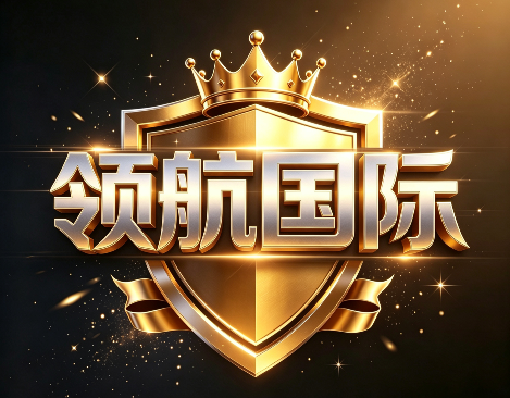 领航国际